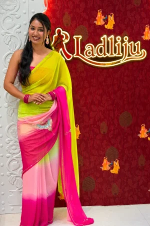 Sparrow Cut Dana Work Chiffon Saree