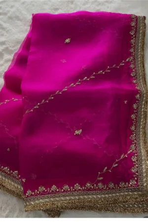 Pink Tissue Saree