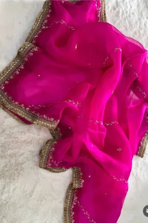 Pink Tissue Saree.2